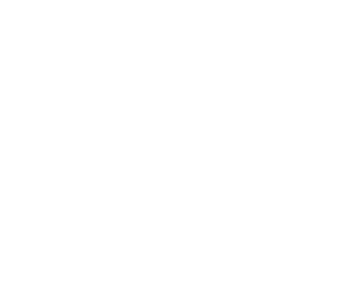 WOWOW BRIDGE